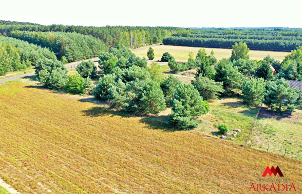 2 działki na sprzedaż - Okna,Baruchowo