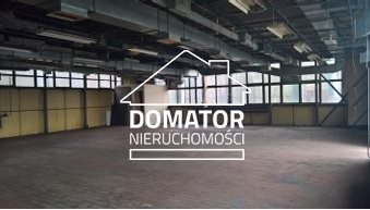 Hala magazynowo-usługowa 350 m² - wjazd z poziomu zero   

  Do wynajęcia przestronna hala o powierzchni 350 m², położona na pa