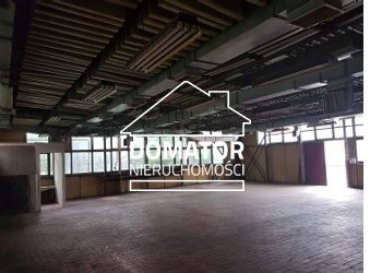 Hala magazynowo-usługowa 350 m² - wjazd z poziomu zero   

  Do wynajęcia przestronna hala o powierzchni 350 m², położona na pa