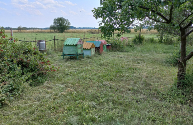 Dom wolnostojący 250m2 | Działka 34ar | Budynki