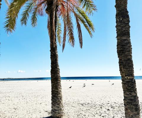 Apartamenty w Santa Pola