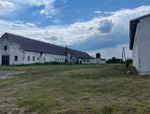 Ferma trzoda/drobiu