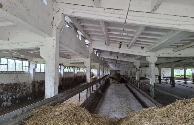 Sprzedam Gospodarstwo Rolne 32,6 ha