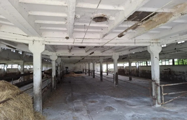 Sprzedam Gospodarstwo Rolne 32,6 ha