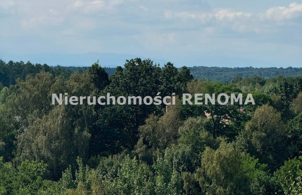 Do wynajęcia M-2 ul.Opolska Jastrzębie-Zdrój