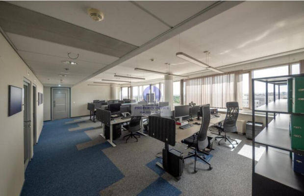 Śródmieście: lokal biurowy 253,35m2 do podnajmu