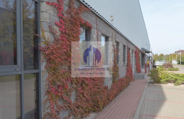 Włochy: lokal biurowy 216m2 do wynajęcia