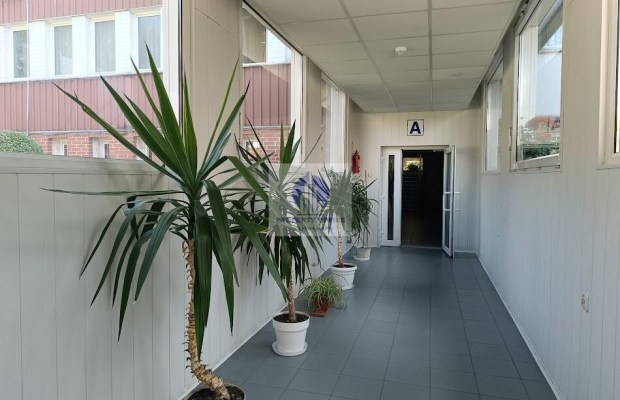 Mokotów: lokal biurowy 40m2 do wynajęcia