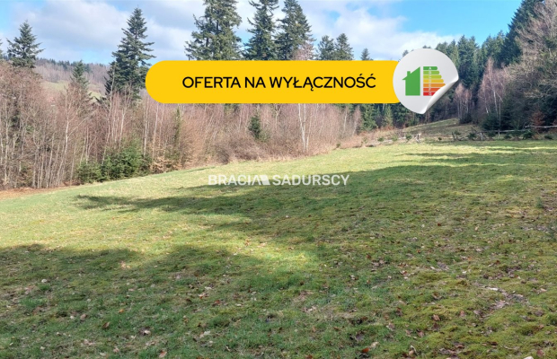 Działka rolna z możliwością zmiany na budowlaną