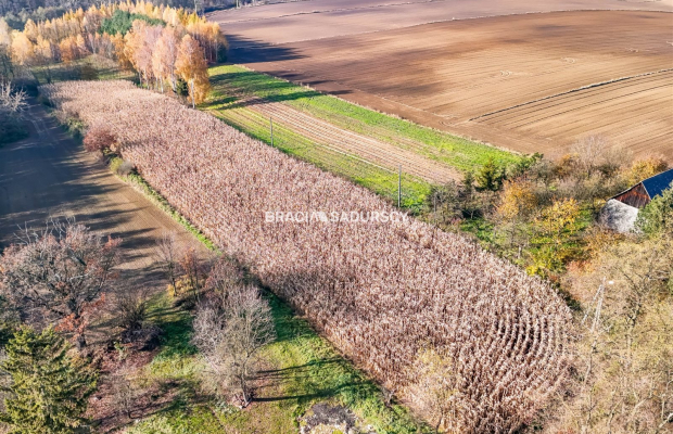 Działka budowlana / MPZP - MN3 / Przesławice