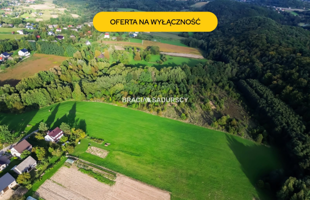 Duża działka z potencjałem inwestycyjnym – 2,52 ha