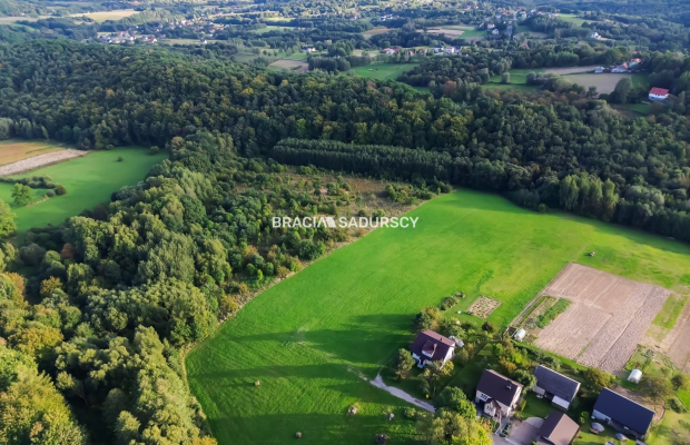 Duża działka z potencjałem inwestycyjnym – 2,52 ha