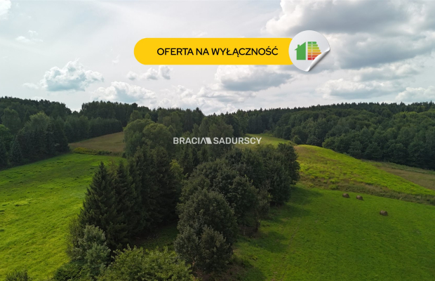 Działka budowlana o powierzchni 30 arów w Brodach