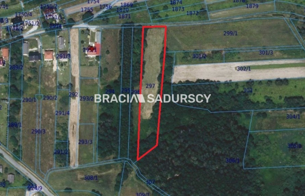 Panoramiczna Działka Rezydencjalna 53a z Widokiem na Babią Górę | Przeginia Narodowa 

  Ostatnia linia zabudowy, południowa ek