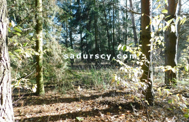 Ładna działka budowlano - inwestycyjna 4100m2 w Białym Ługu, gmina Prażmów, pow. piaseczyński.    
   
Cisza, zieleń, dobry dos