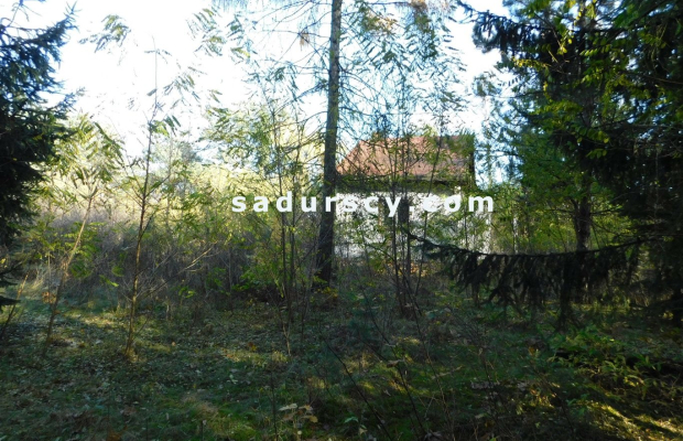 Ładna działka budowlano - inwestycyjna 4100m2 w Białym Ługu, gmina Prażmów, pow. piaseczyński.    
   
Cisza, zieleń, dobry dos
