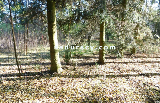 Ładna działka budowlano - inwestycyjna 4100m2 w Białym Ługu, gmina Prażmów, pow. piaseczyński.    
   
Cisza, zieleń, dobry dos