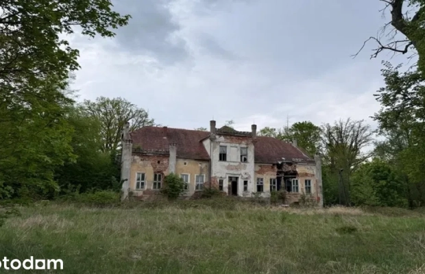 Zabytkowy zespół pałacowo-parkowy z wyjątkowym potencjałem inwestycja