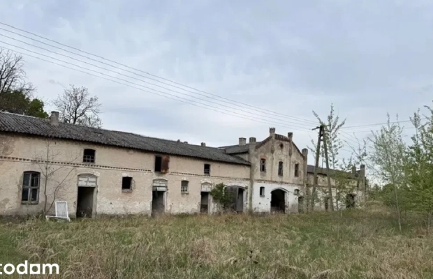 Zabytkowy zespół pałacowo-parkowy z wyjątkowym potencjałem inwestycja