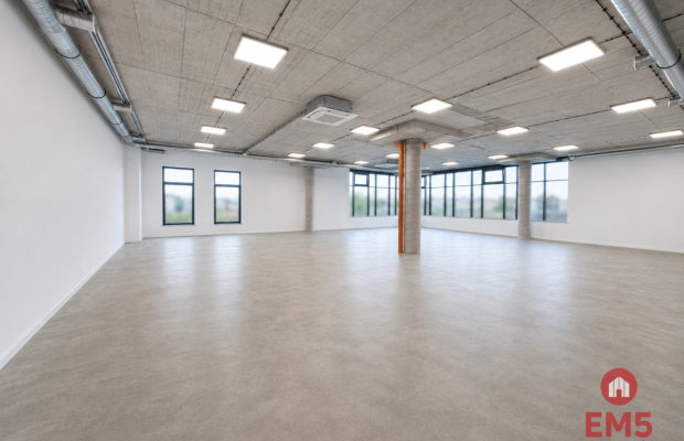Lokal użytkowy 200 m2. Fitness, zajęcia ruchowe.