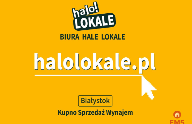 Handlowo-usługowy, ścisłe centrum, parter