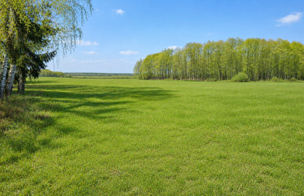 Działka budowlana 2160 m2. Nowosiółki