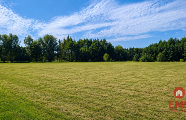 Działka 4400 m2, Szudziałowo