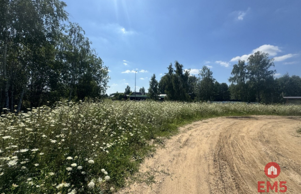 Działka W Halickie