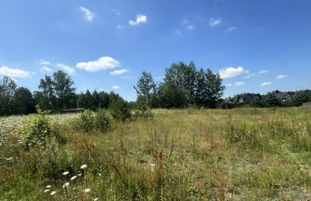 Działka W Halickie
