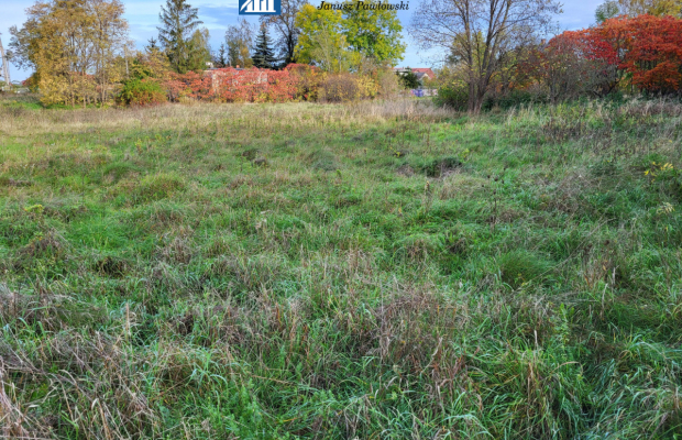 działka 41ar, MPZP, Wilczyn gm. Grębocicie