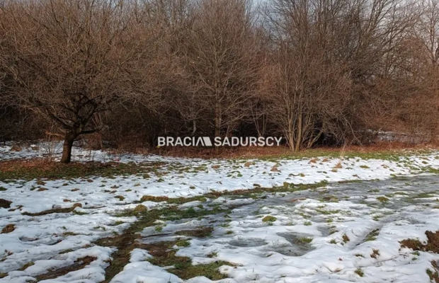Duża działka inwestycyjna  w Czarnochowicach