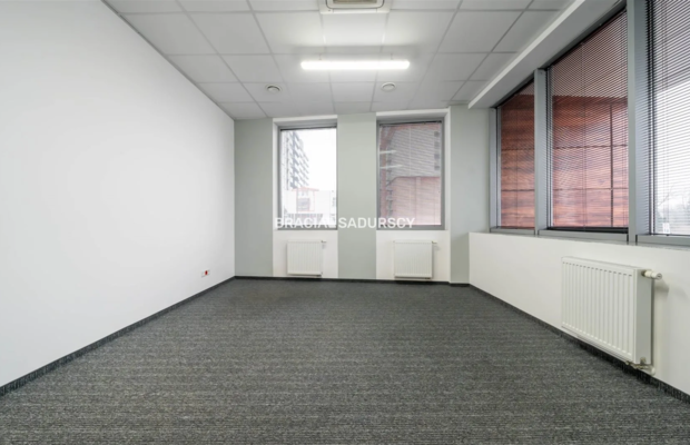 Powierzchnia biurowa z parkingiem - 250m2