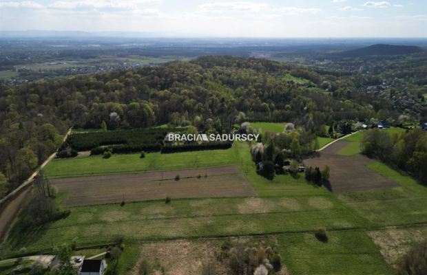 Płaska działka 2,21ha | Inwestycja | Natura