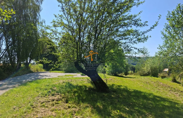 Klimatyczne siedlisko z lasem. Gm. Nowy Wiśnicz.