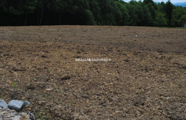 Działka budowlano-rolno-leśna w Jankówce