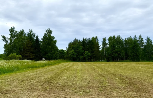 Twoja prywatna linia brzegowa nad Jeziorem Hańcza