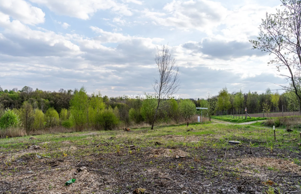 Widokowa działka / wzgórze - las / MPZP