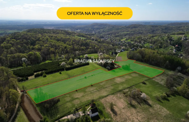 Płaska działka 2,21ha | Inwestycja | Natura
