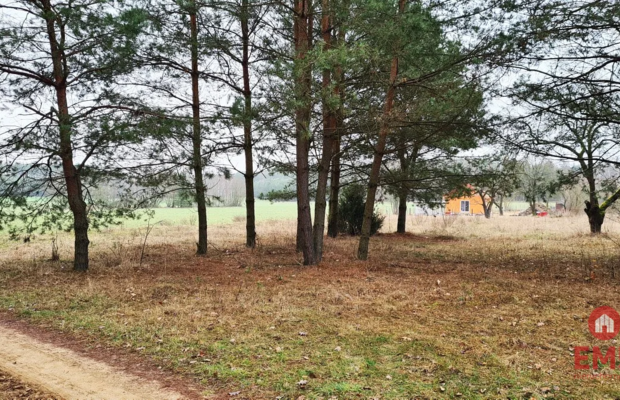Działka 1900 m2. Pieńki