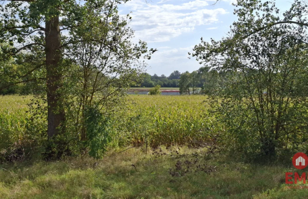 Działka inwestycyjna przy S8