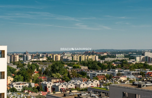 Panorama Krakowa / nowoczesne / gotowe