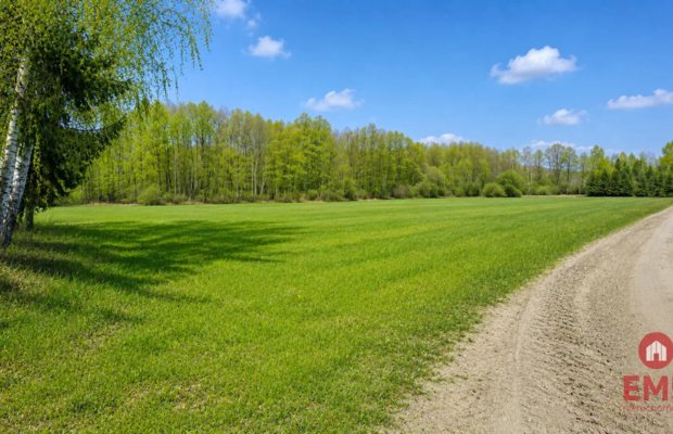 Działka rolno-budowlana 2,5 ha. Nowosiółki
