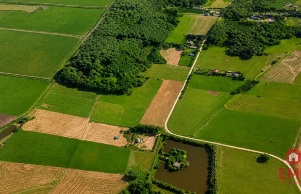 Działka rolno-budowlana 2,5 ha. Nowosiółki
