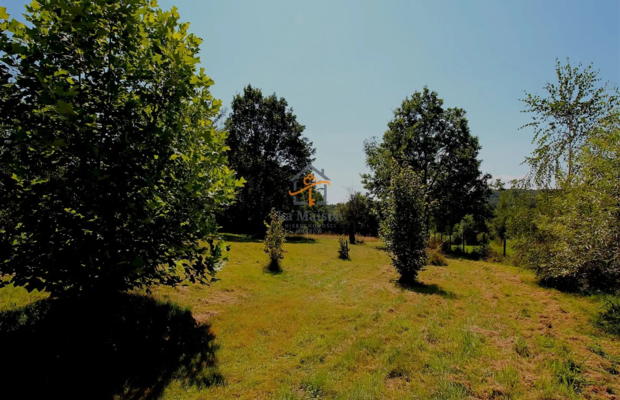 Klimatyczne siedlisko z lasem. Gm. Nowy Wiśnicz.