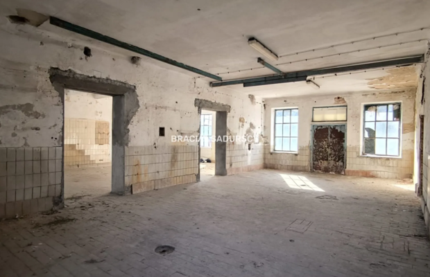 Inwestycja z Duszą i Potencjałem: Dawna Mleczarnia o Powierzchni 750 m² blisko Stoku Narciarskiego (Sławice Szlacheckie, gm. Mi