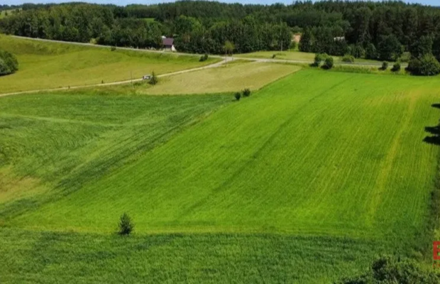 ATRAKCYJNA DZIAŁKA 8 964 m² – GULBIENISZKI
