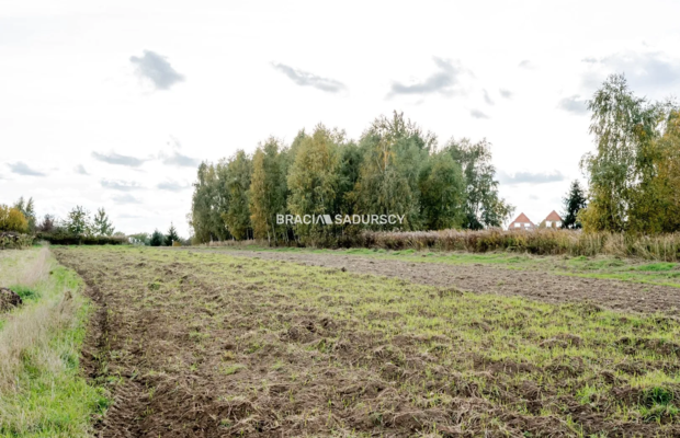 Działka budowlana / 25 ar / płaska / Cholerzyn 