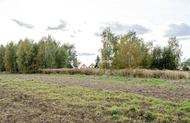 Działka budowlana / 25 ar / płaska / Cholerzyn 