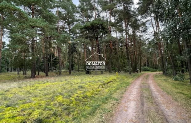 Wyjątkowa działka z domem i halą 