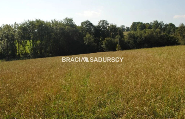 Okazja!!!Do sprzedania duża nieruchomość .